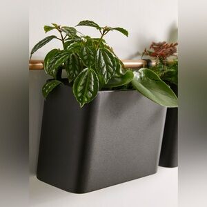 Black Wall Planter